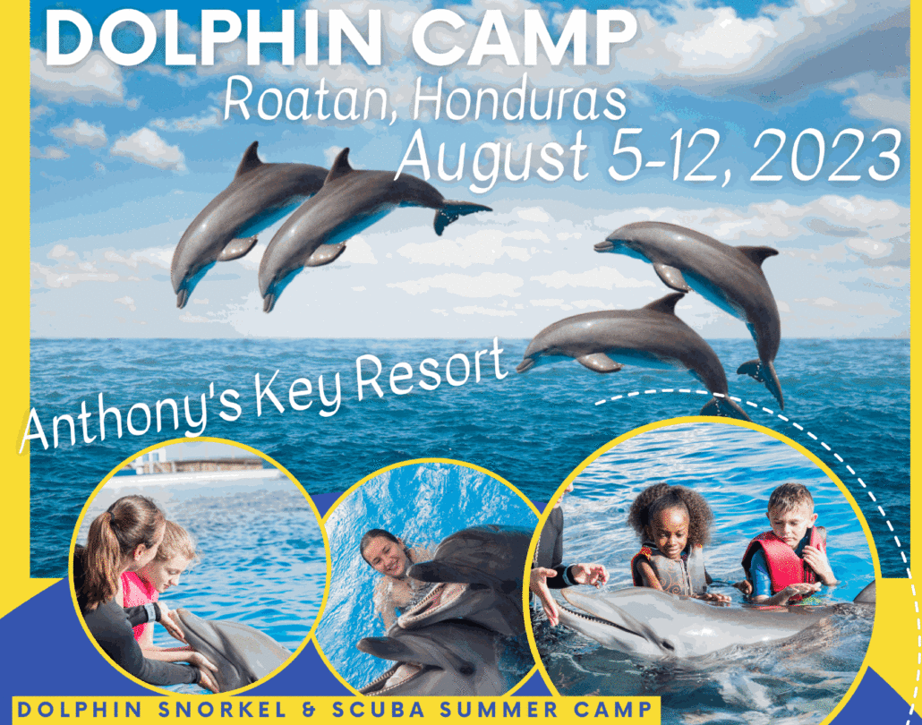 Roatan Honduras Dolphin Camp