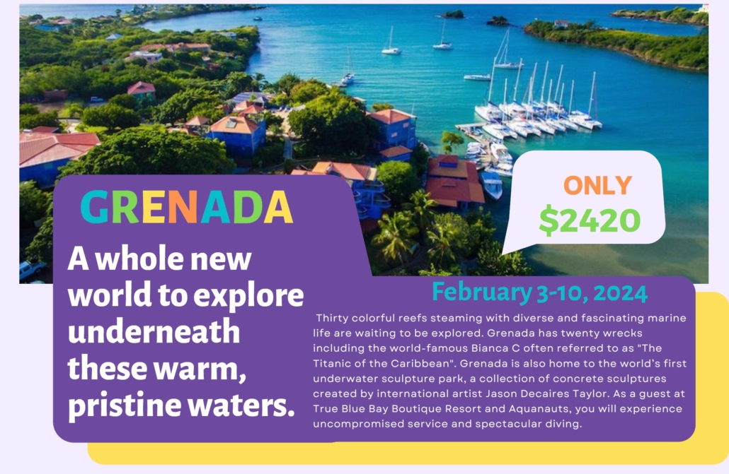 Grenada 2024