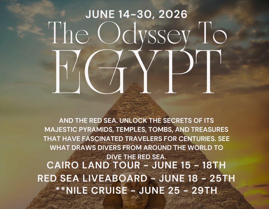 Egypt 2026 - Version 2
