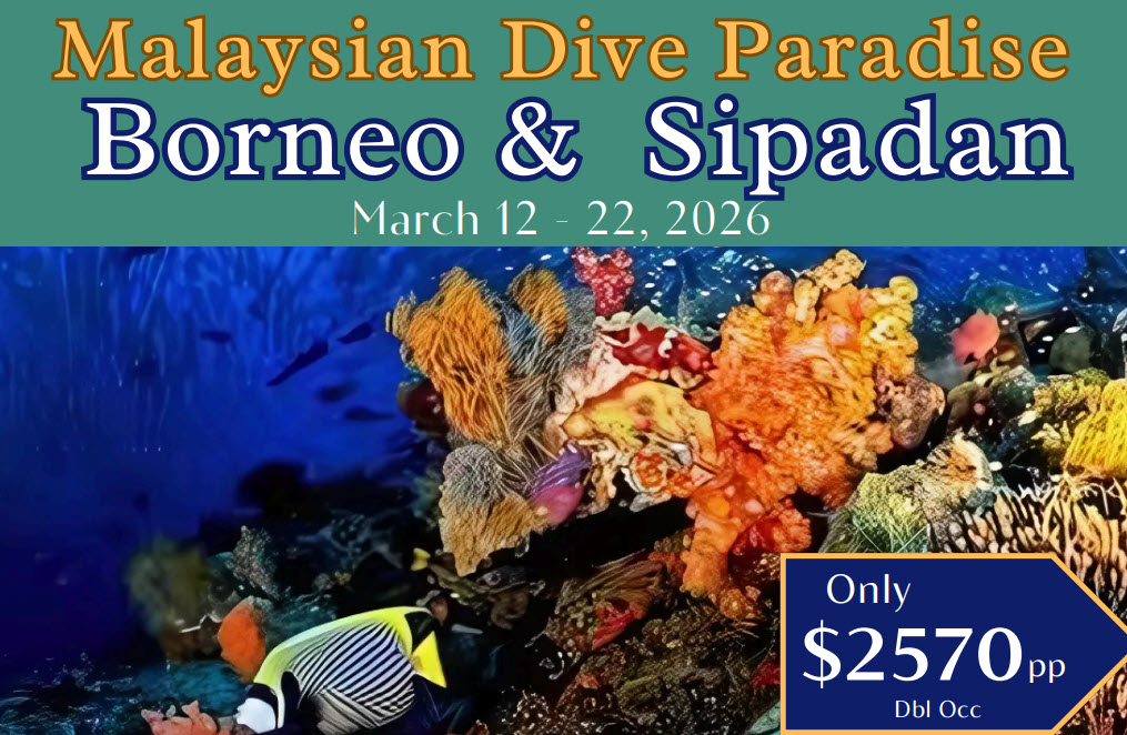 Borneo and Sipadan 2026
